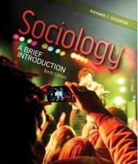 Image of Sociology: a brief introduction 10th